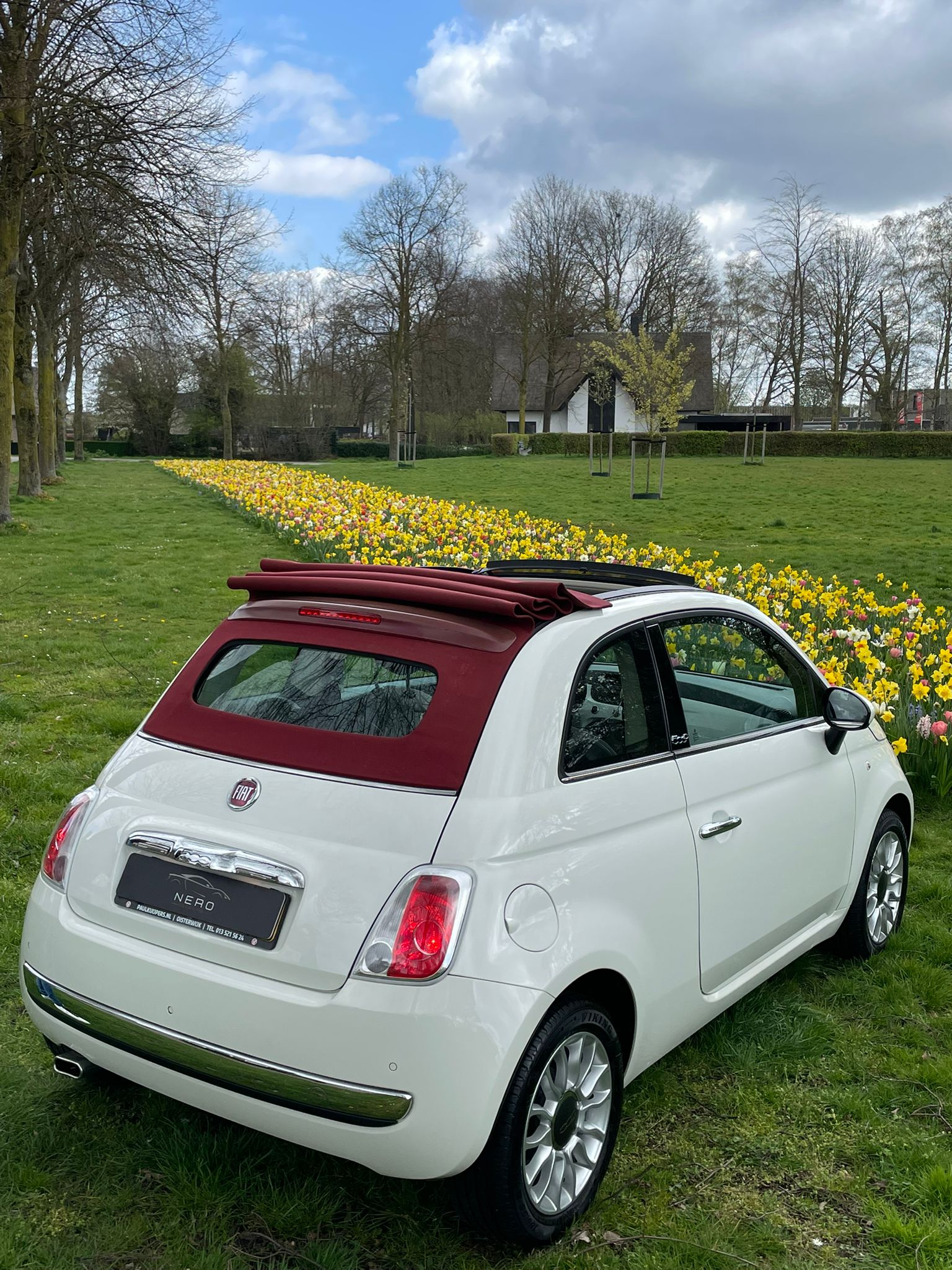 Fiat 500 cabrio bloemenweide