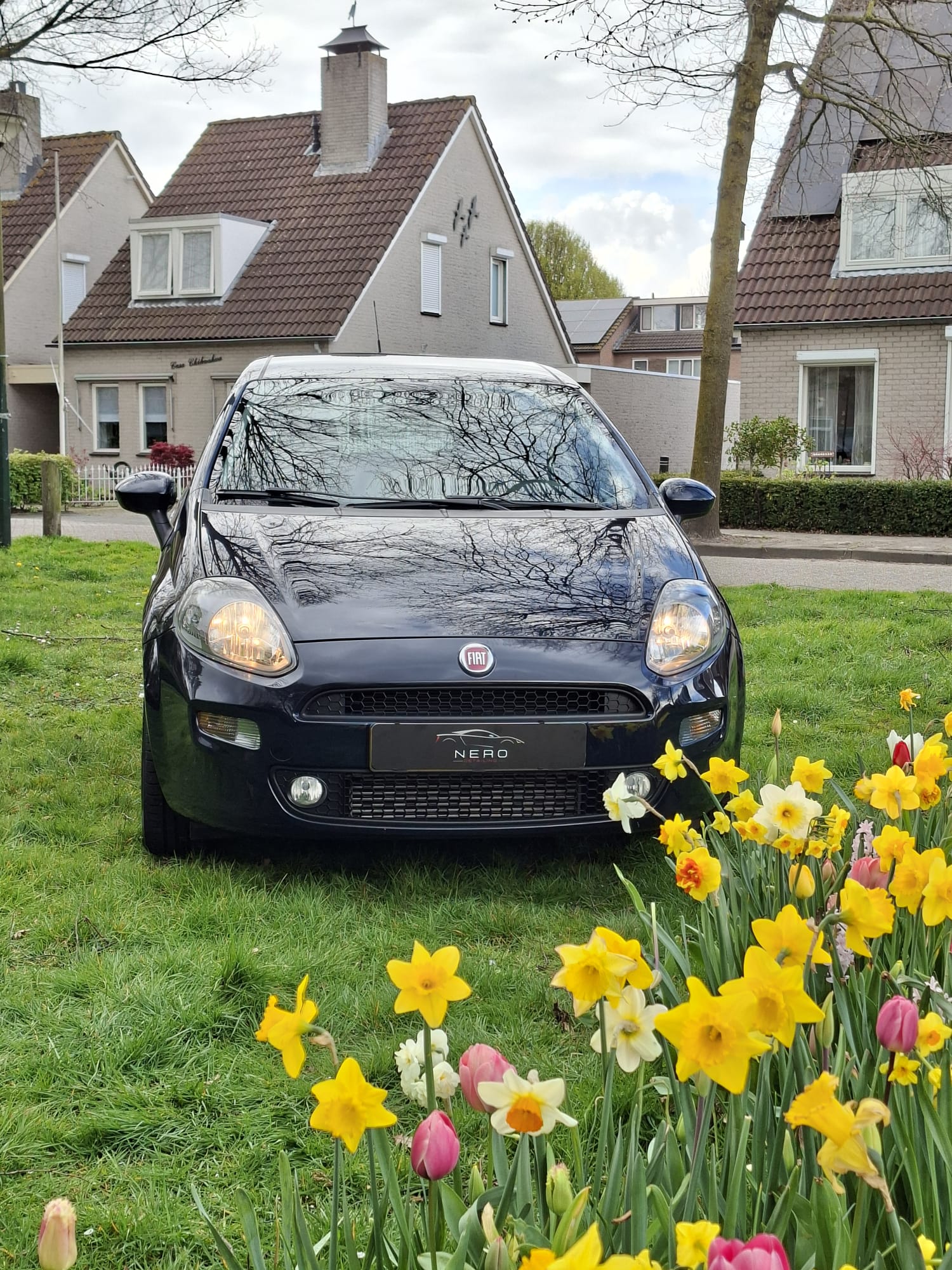 Fiat Punto met bloemen