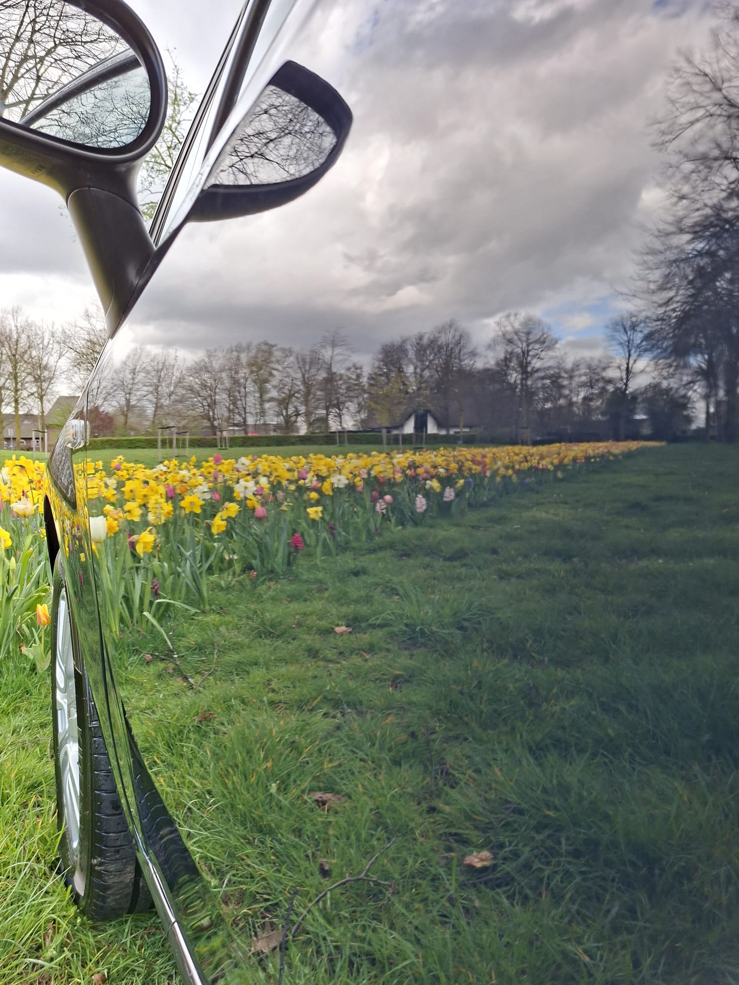 Zijspiegel bloemenweide