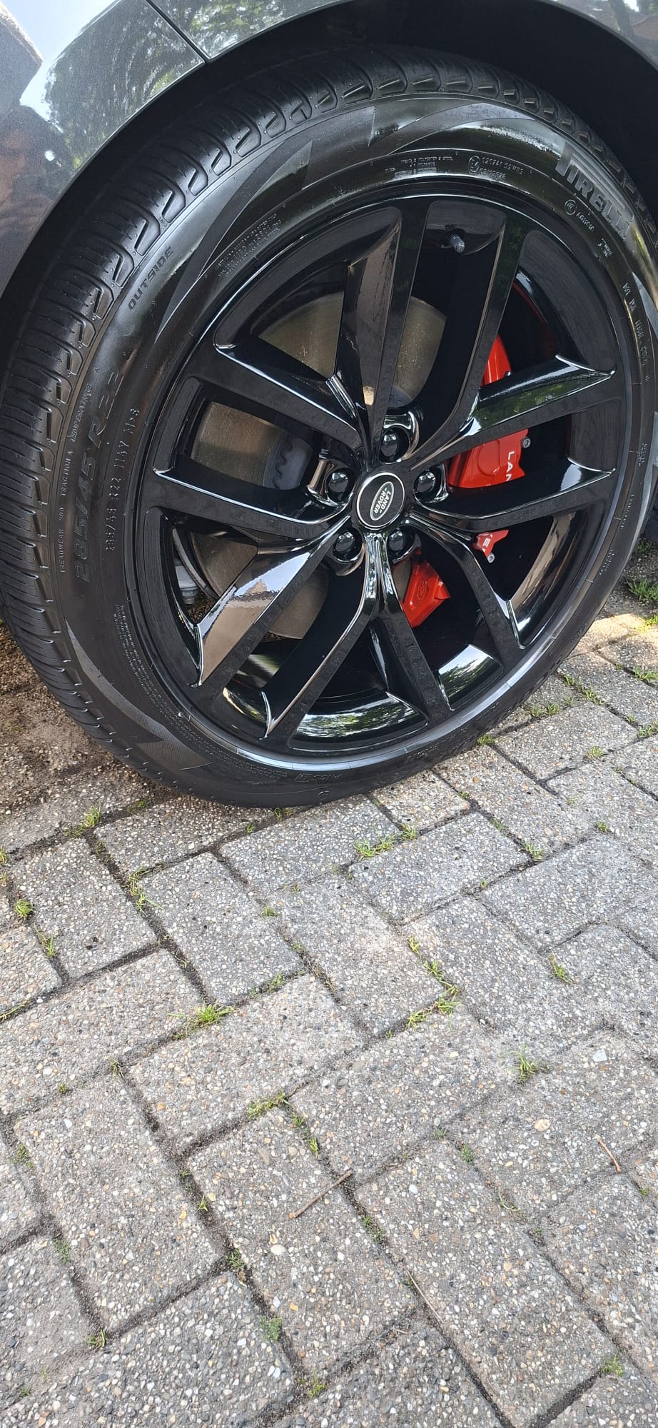 Velgen diepgereinigd